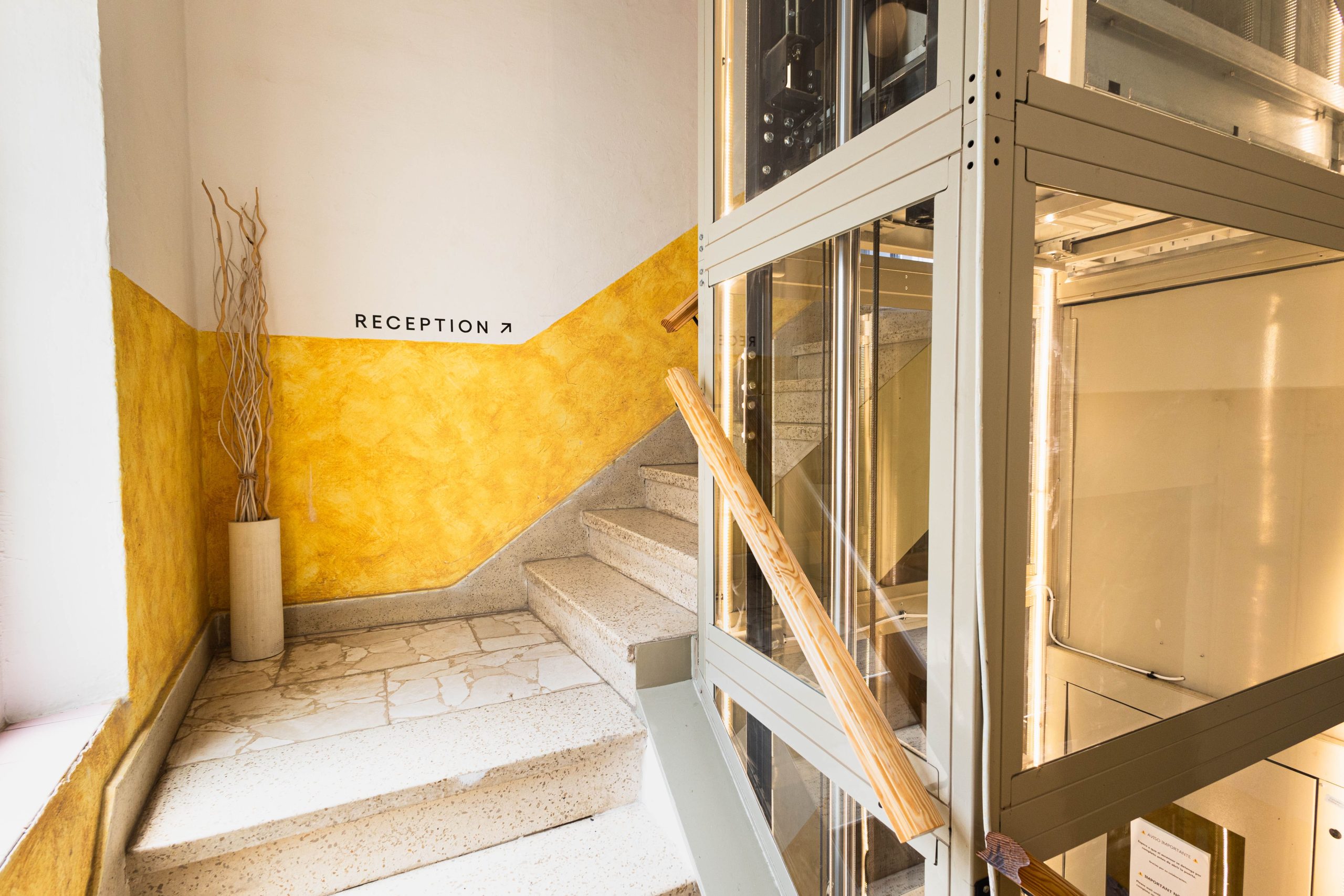 vidamia-disfrruta-malaga-2