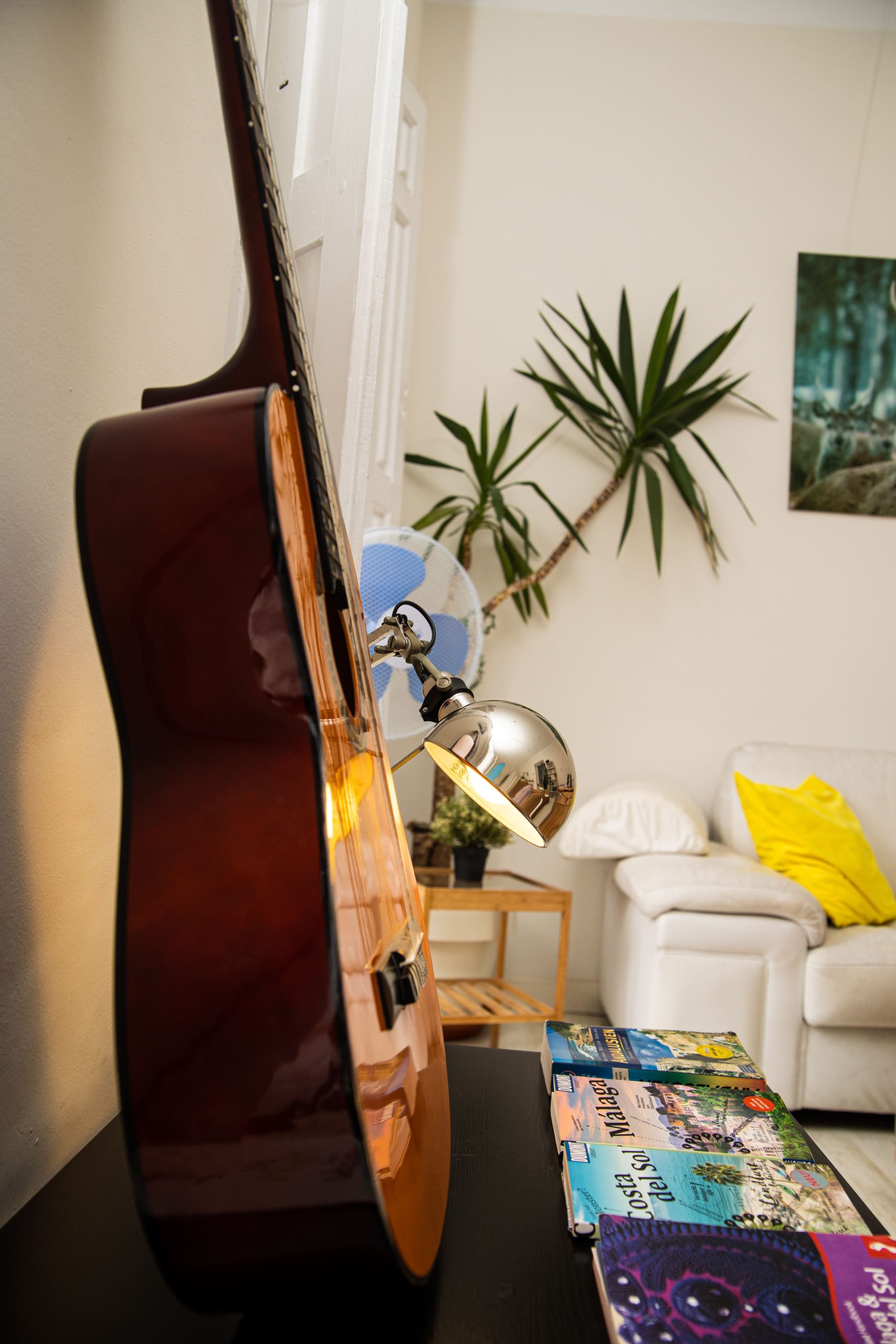 vidamia-disfrruta-malaga-6